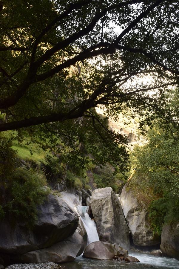 Offbeat Abodes - Tirthan Valley Banjar Luaran gambar